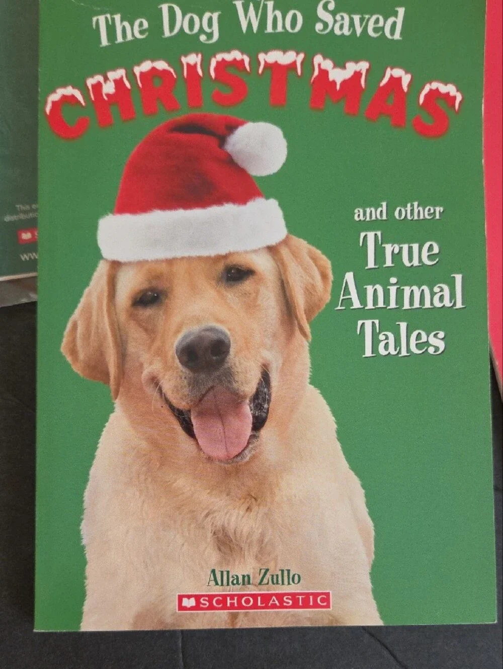Children's Books - Christmas Theme - 5 Books in Set